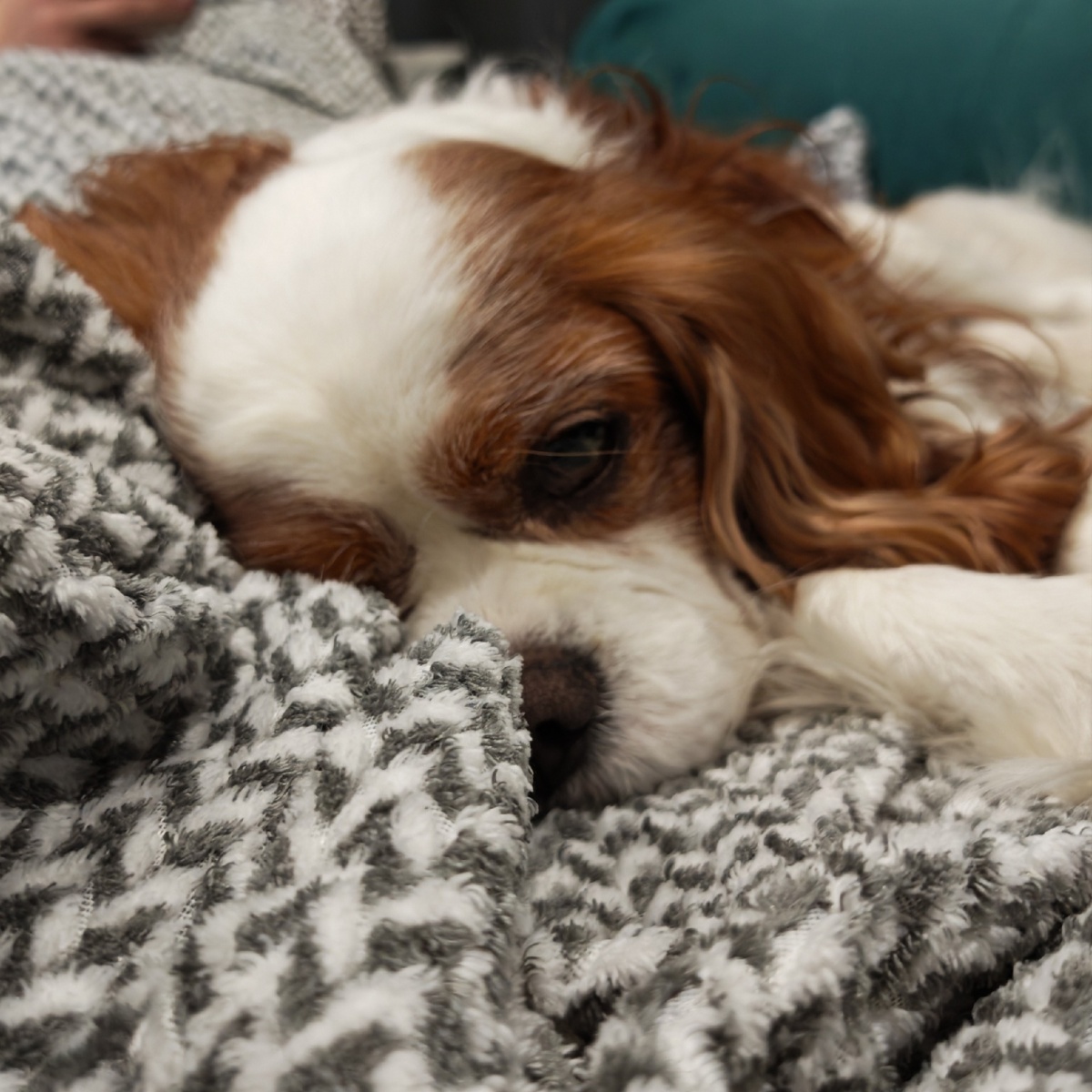 3e0b274f-b828-4ab0-9249-1ca6c13f8758