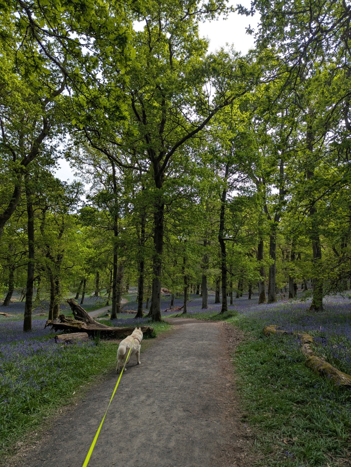 6e005850-5859-4e77-ba33-7ef2f901f96b