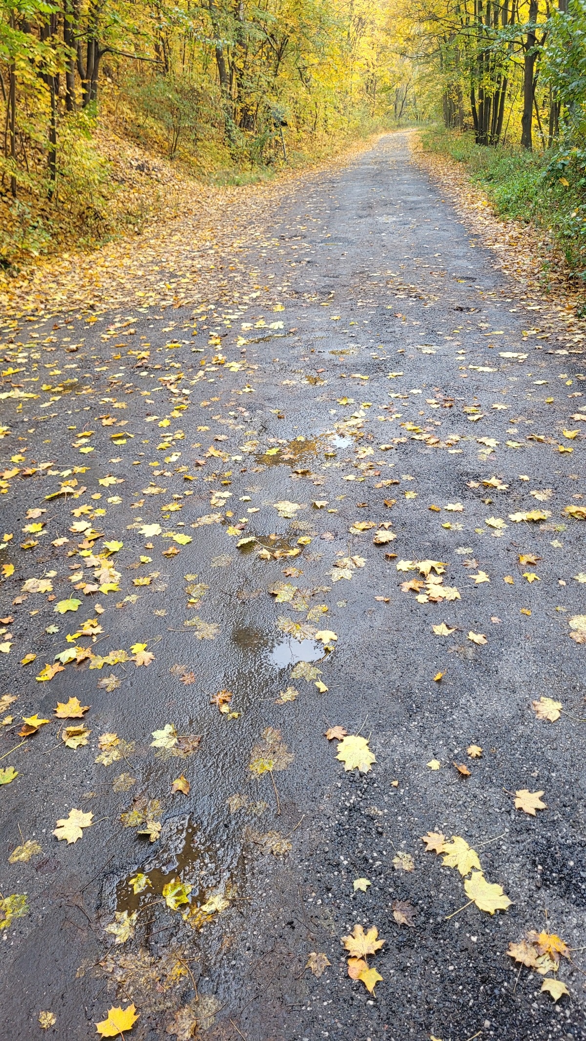 6427b396-5619-4b5d-a8f5-597a34068589