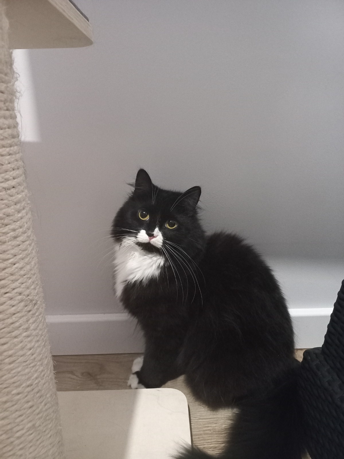 ddb13fef-4281-450e-ad22-e85268978618