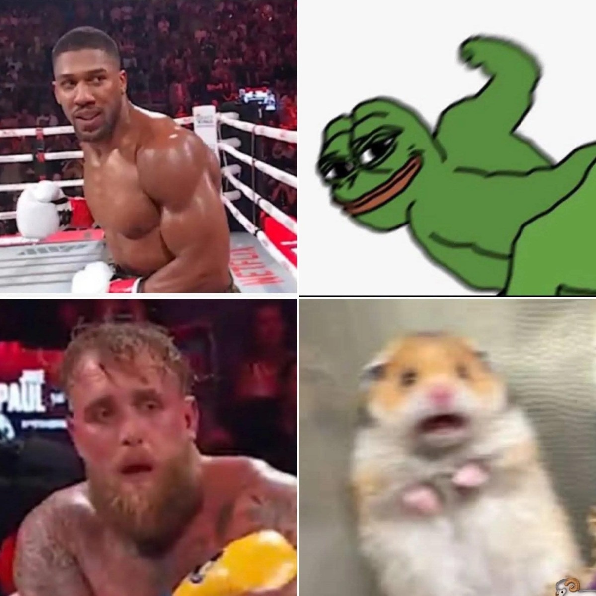 a15479ce-46f3-4a06-acd3-2db6bdff0960