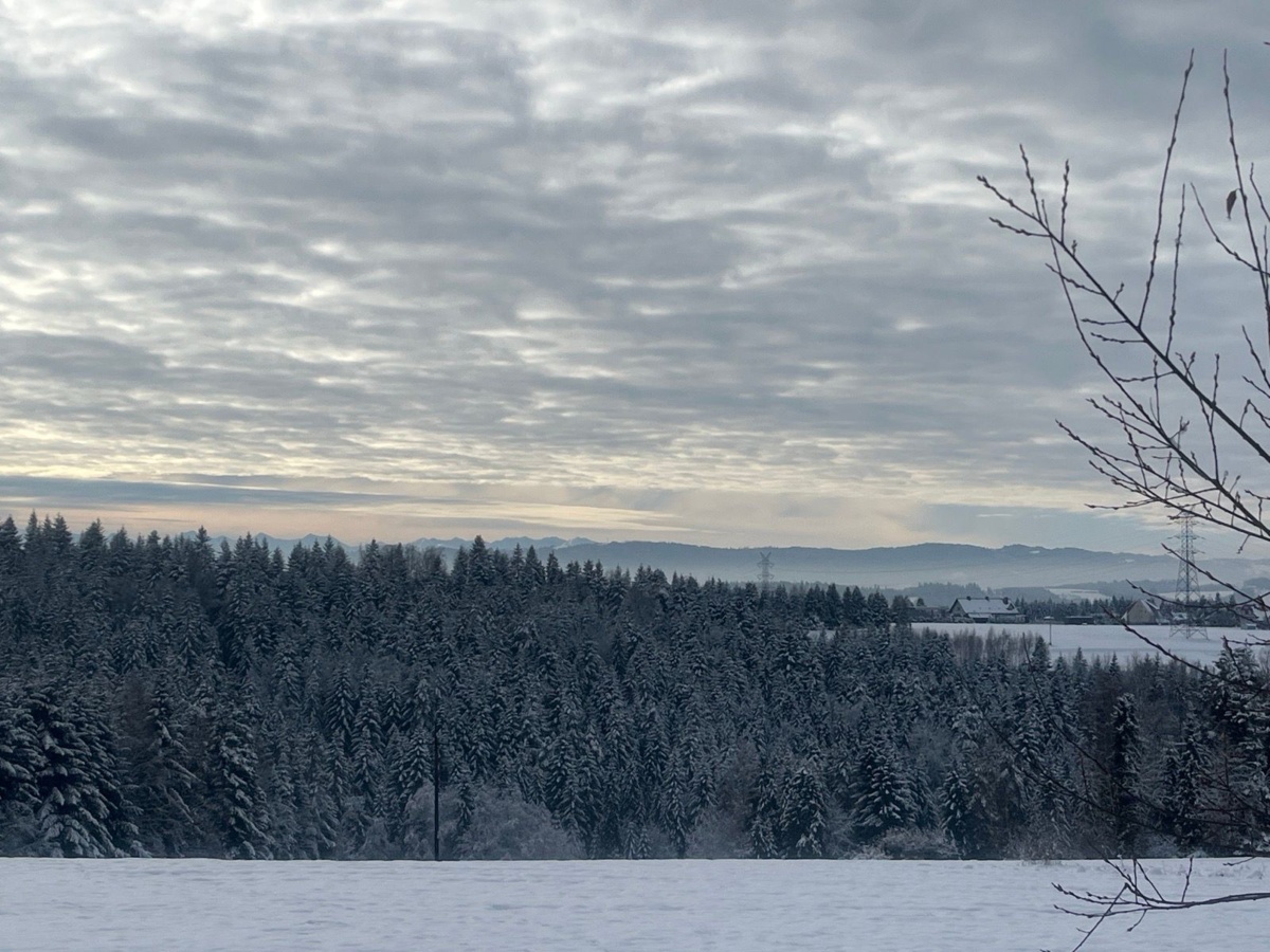 5bb78adf-b4f3-40dd-9834-ad824287c090