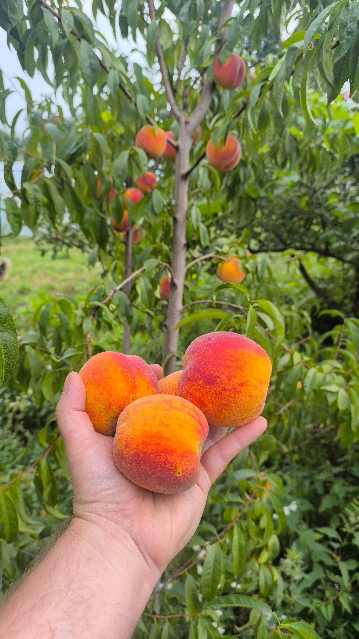 0001eea9-c0ed-4314-a397-c4c0d1bcf463