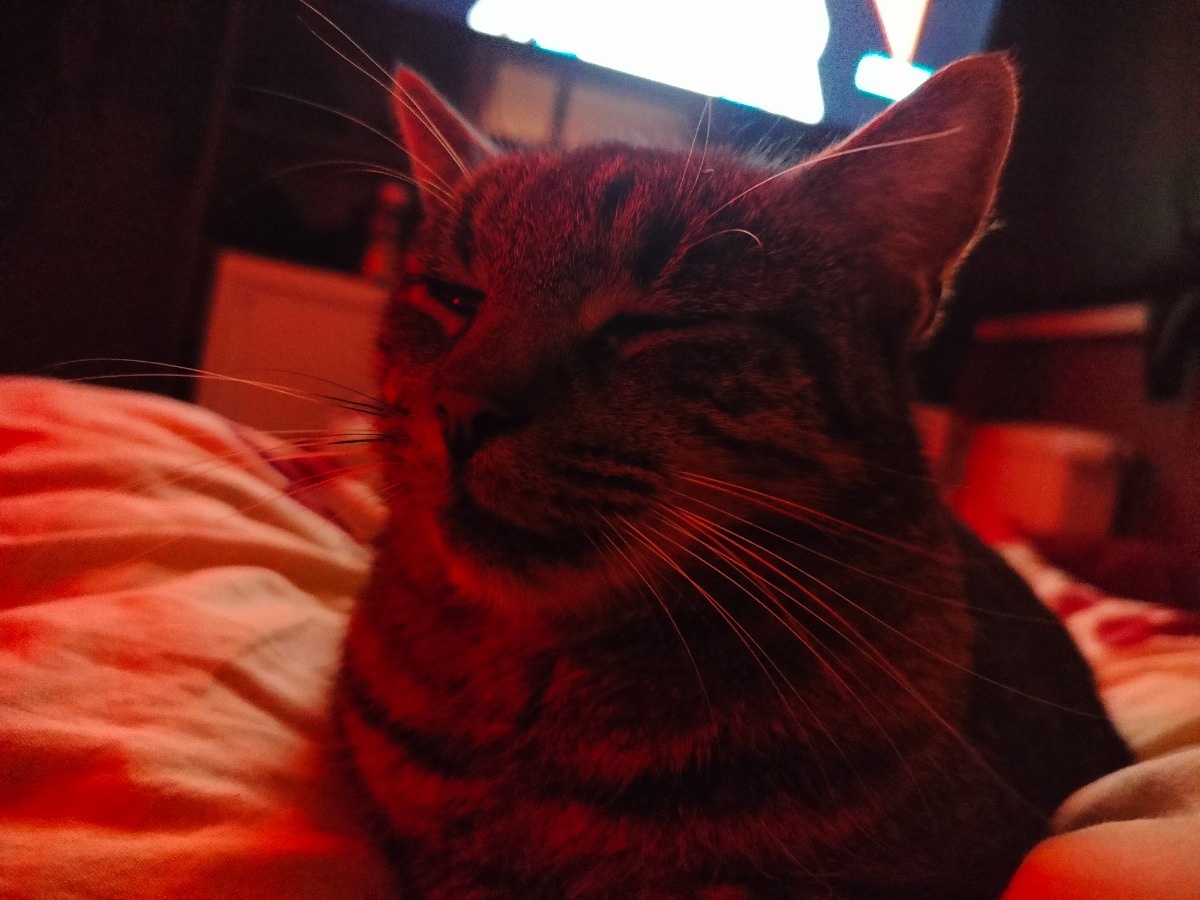 5ae6e97b-3915-4ed8-ac16-d5671bedacba