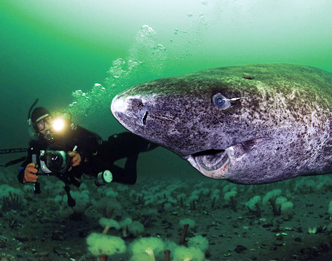 7a9f4806-24a8-4f67-b0ff-1b48b9305b28