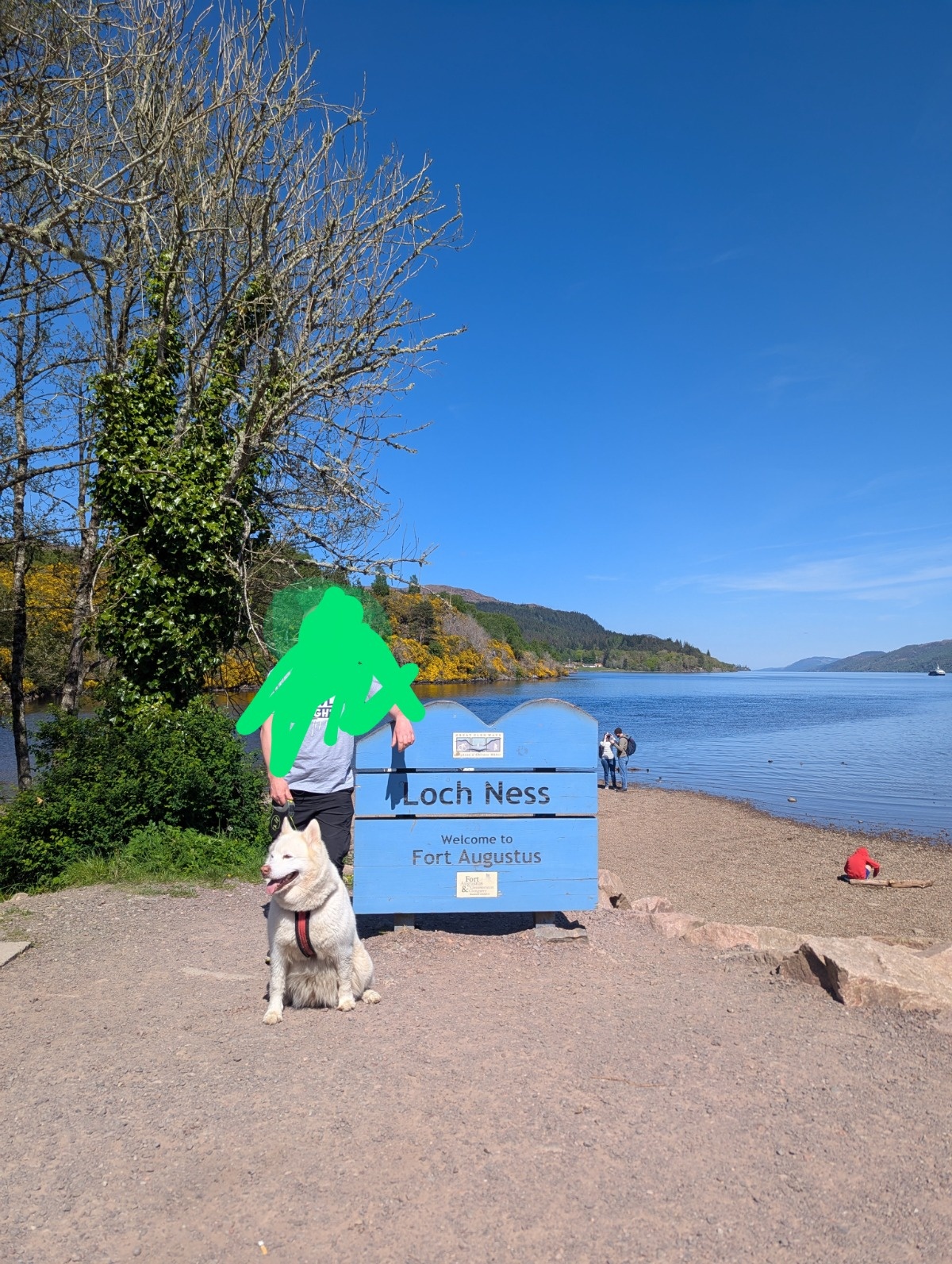 787653bb-efbc-4696-90bd-4e16843b8a31