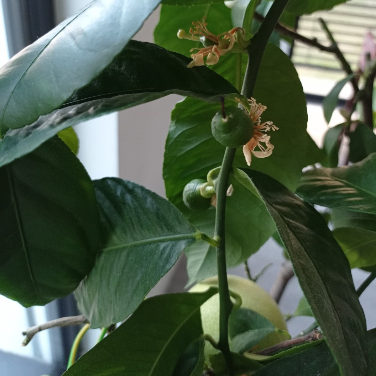 599caa87-1b78-4d04-bd88-0a81febceb3a