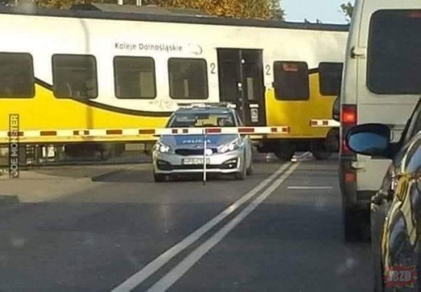 19b246f9-a9b1-462a-a56b-0006953f5782