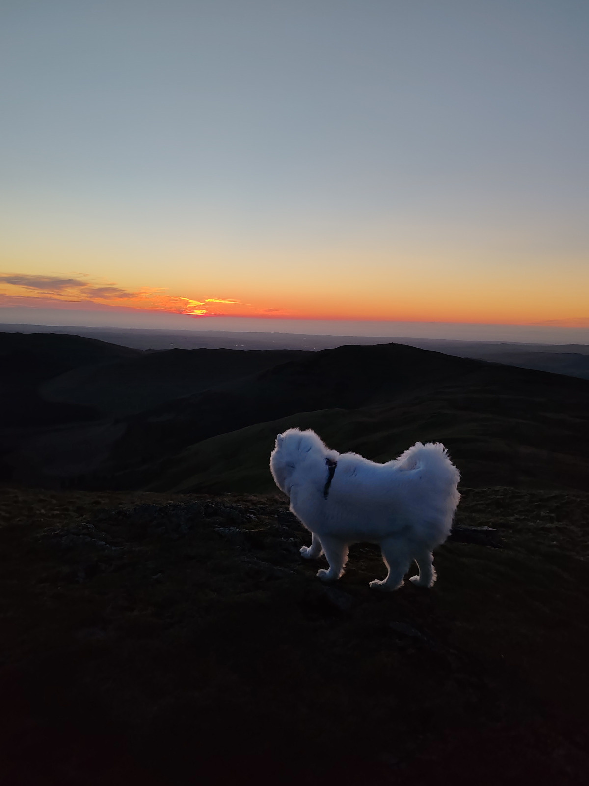 7020a3a1-3db2-4d92-b109-0be7a0e2360c