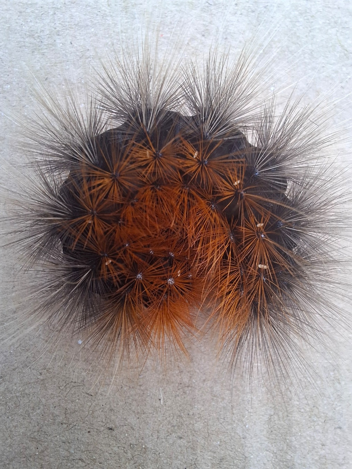 d077425b-ff6f-4e56-bffa-e5275797ba21