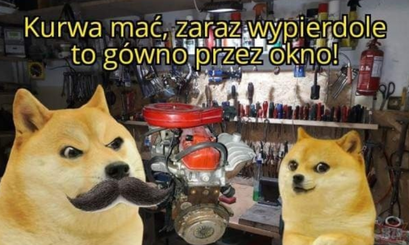 e53e37fe-c748-426e-a0dc-20b75e86ca5a