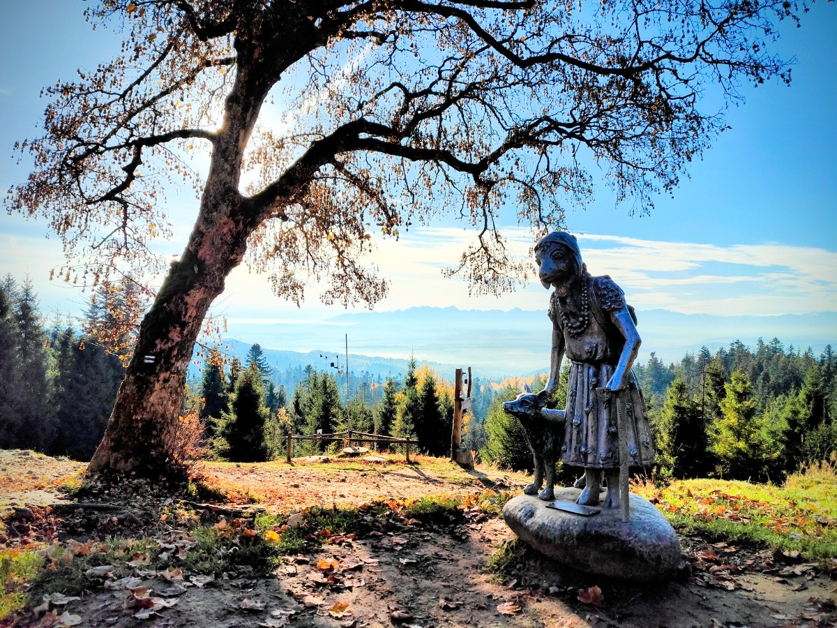 f3ccdf00-1065-43bf-a63e-7b471801984d