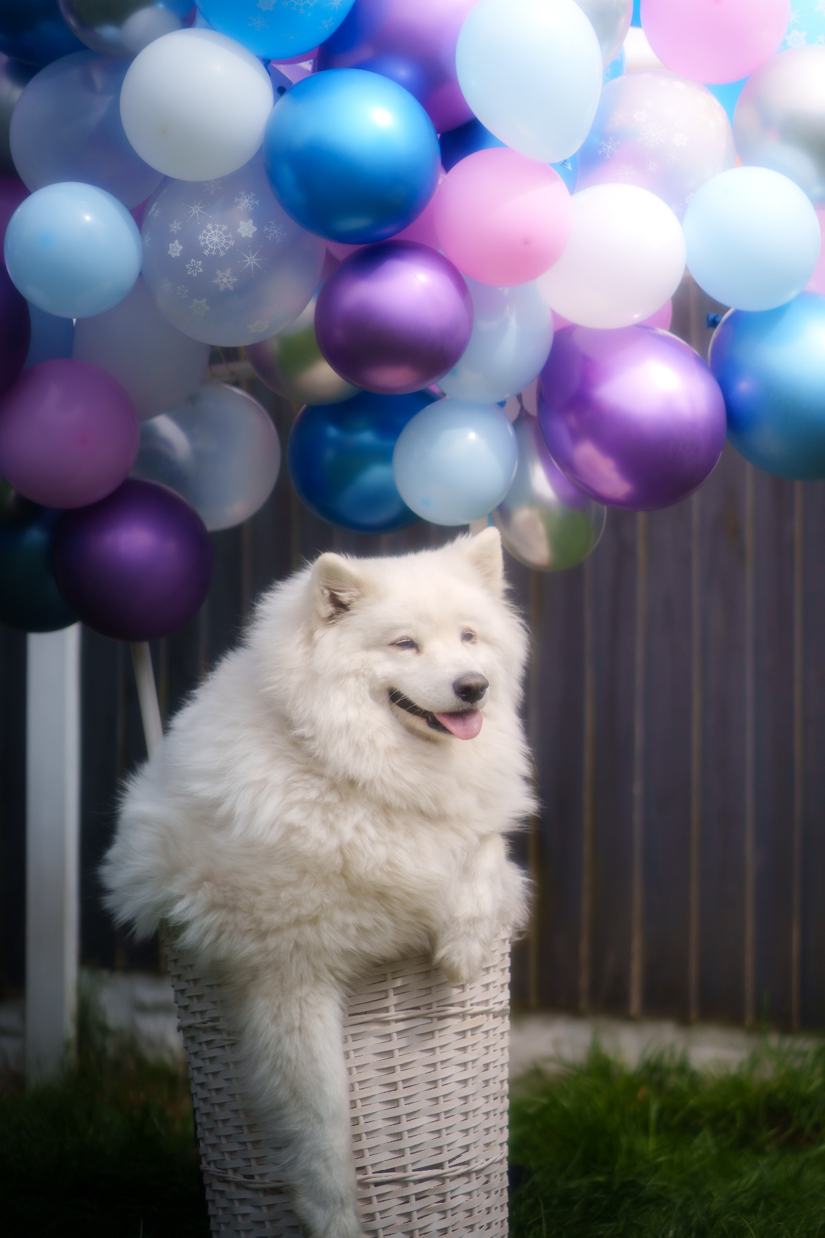 e0944638-f9df-4d70-bbb4-6368ccfc2c31