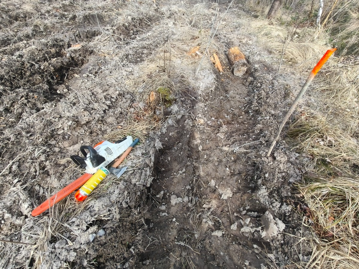 68145638-6f20-4c50-9829-4fdf699e9a52