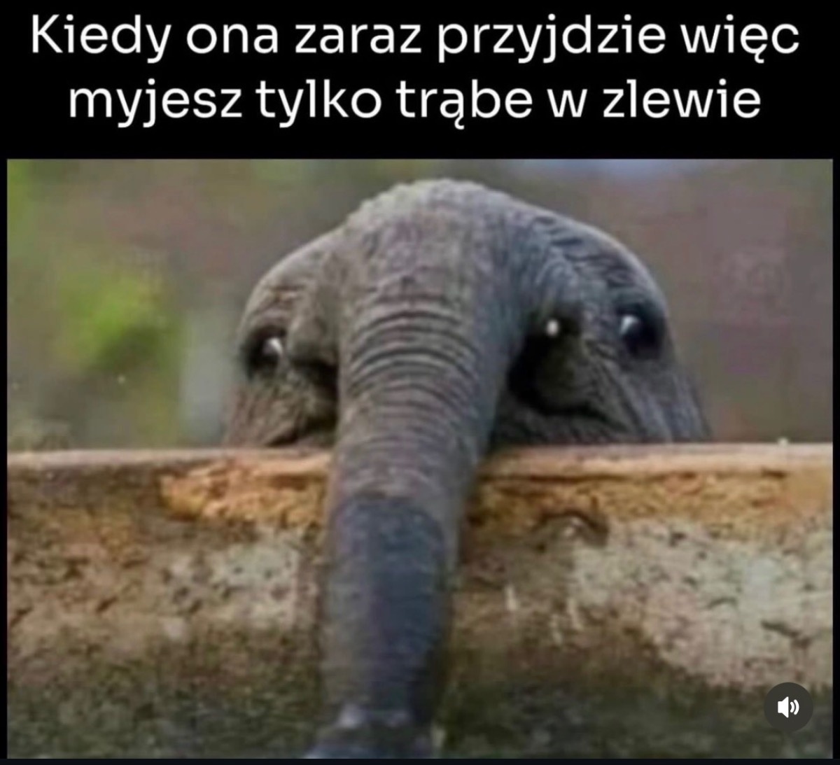 dda809cb-11c0-4320-b86d-4fdda57ea7bc