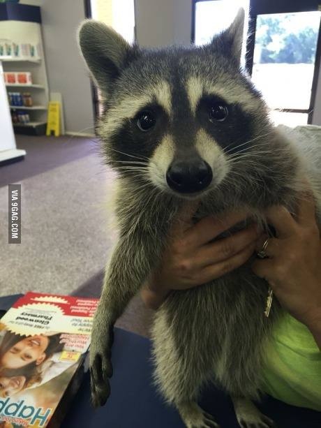 3571f929-2c81-4fe2-8afd-e30e167c0814