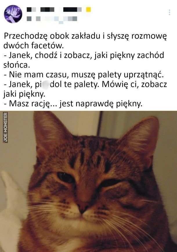 ca48894f-8755-4c34-9eae-81702c3e7a8b