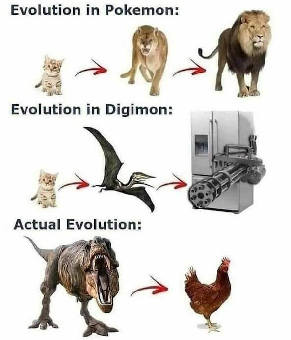 2c3f2264-2510-4414-bfa7-d150bb570b54