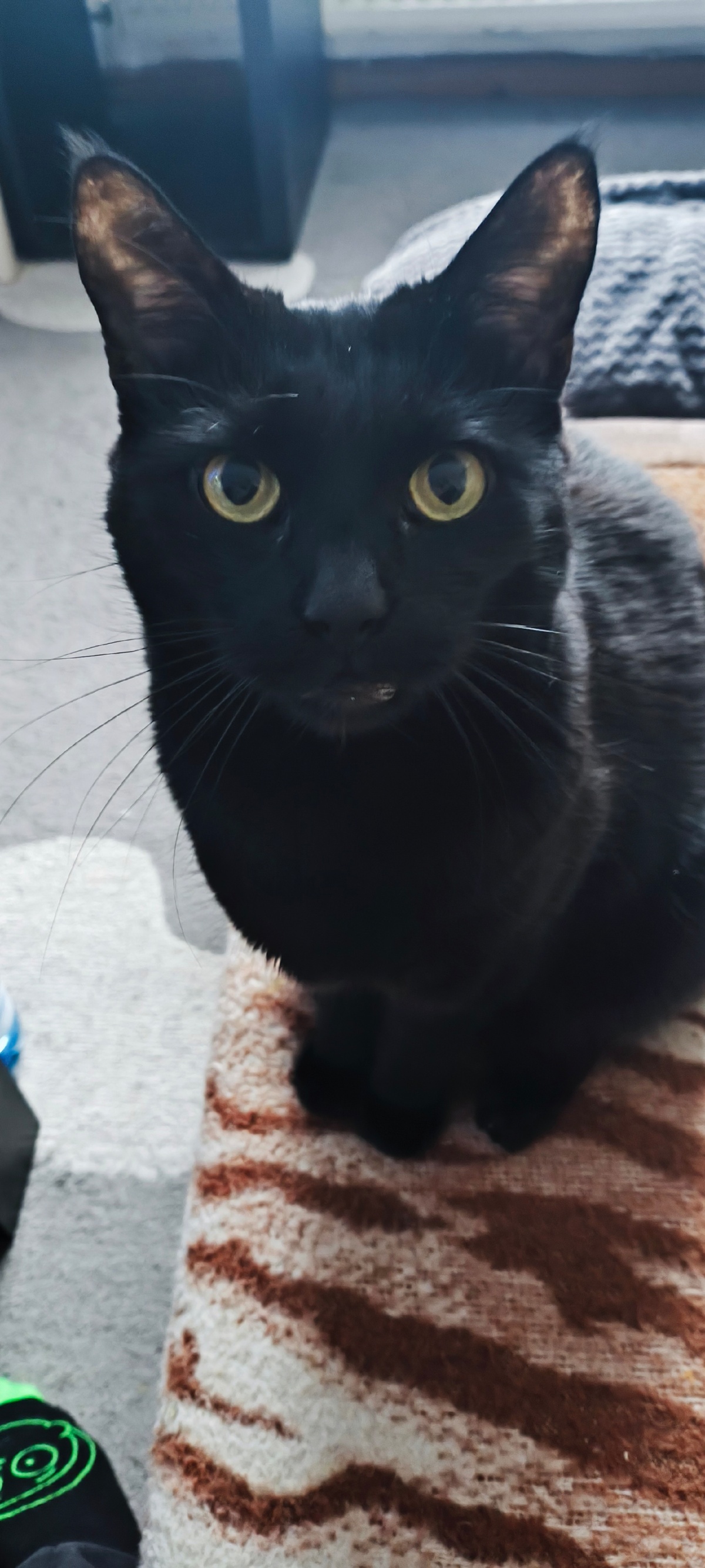 cb8d9e43-a135-43e9-958f-b949ad847630