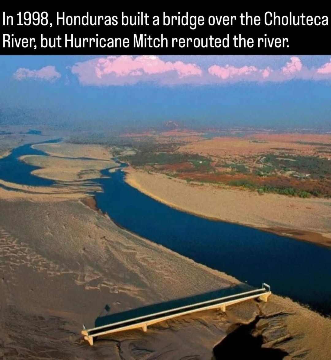 cc146560-0ddc-4557-a9b3-43c0c2181b96