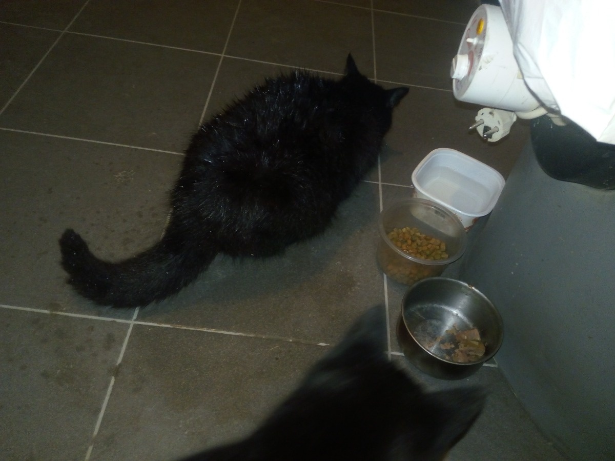 e7749f3f-c5a8-4d93-aa53-d16436814bde