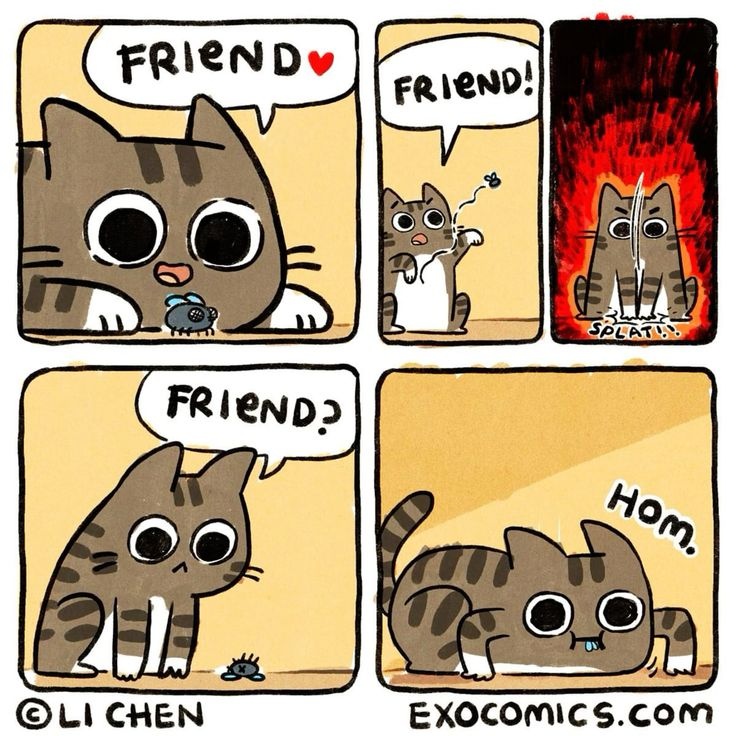 447f656f-85de-4b92-8afe-6edefeedafa5