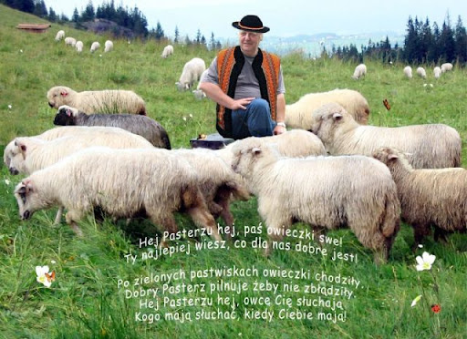 5d74e778-1f8a-4c24-91b2-d9ef20b5bae3