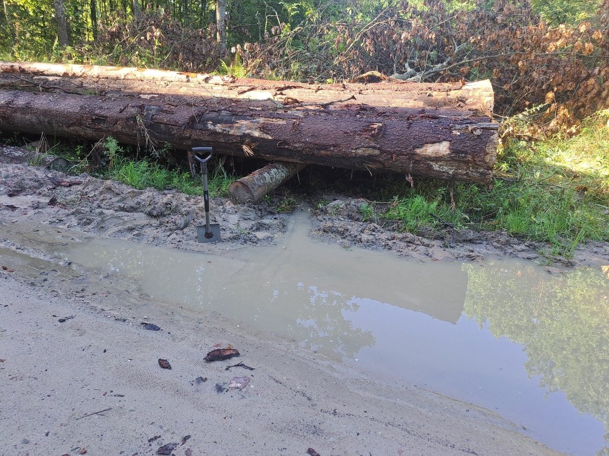 a577d898-ed4e-4f78-8426-57a9c5c56f8d