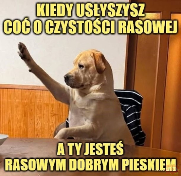 7b9002f1-ea34-4366-8632-9f29ecbede4a