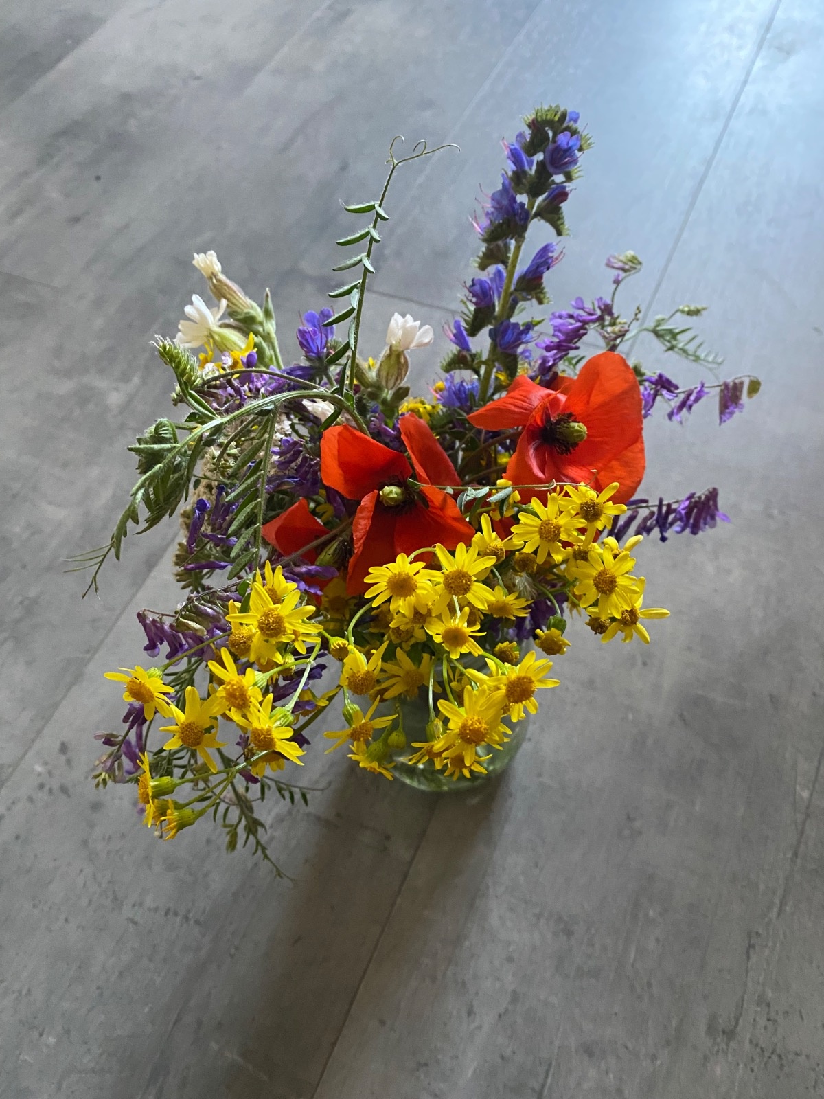 93058947-9d7b-4532-bbc6-6fdc59e9c78b