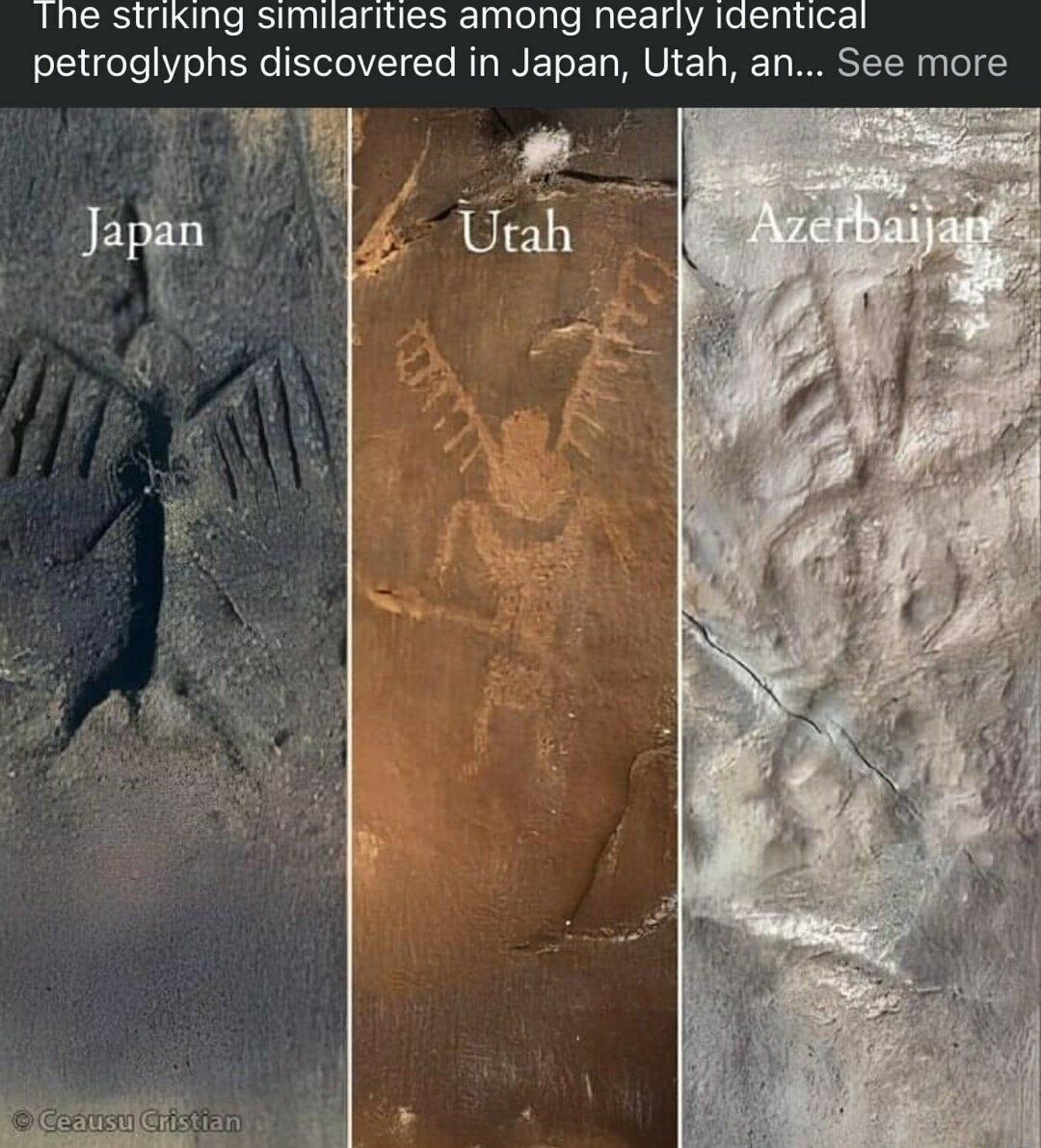 dbf588c7-d325-4cd0-b817-11b561991c52