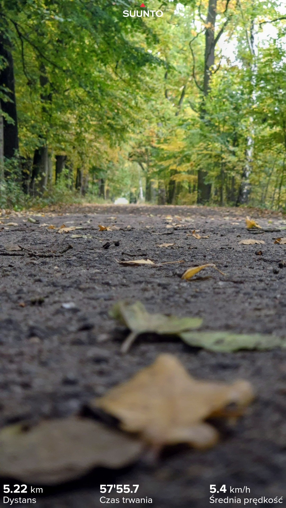 ef1888e7-5997-4b88-bd8a-30365115c1bc