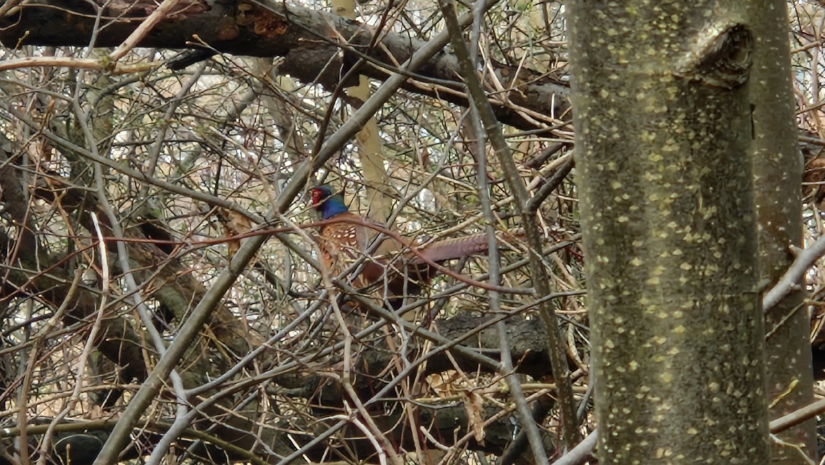 5b3d3ab4-ef22-4f51-af96-e354a8e7f471