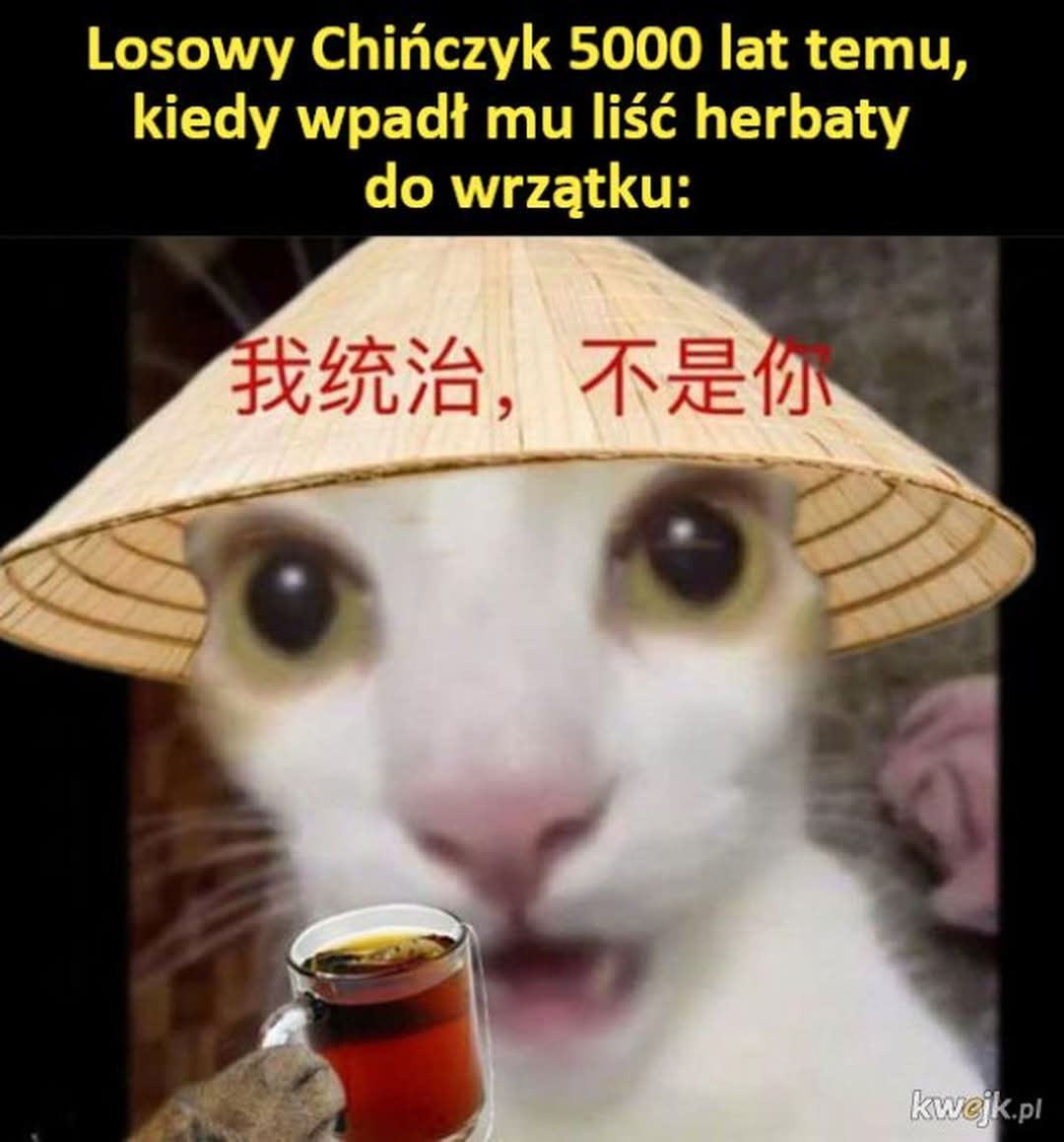 4a995673-326f-43d3-9c70-d3acb928e2ef