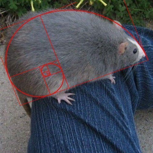 81c4b885-2cef-4b89-981d-60fa6e7cf63a