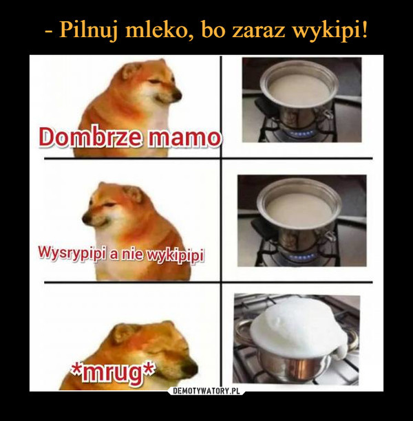 f309804f-012a-4f0e-a725-3bea44030f91