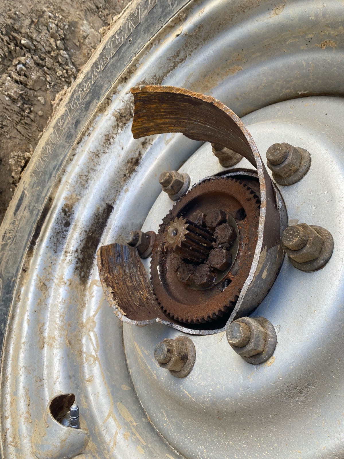 18323905-9619-4912-8fb6-65eaf973691b