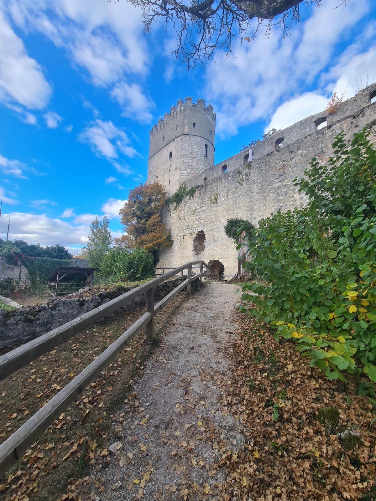 bc161f50-5d24-49f1-94a9-d8b4ac992902