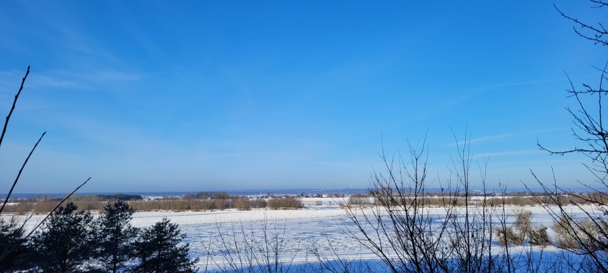 498a2e09-91bf-4f38-9e04-56f31d5f97fc