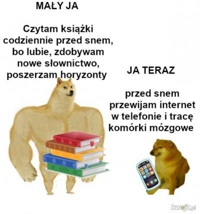 36f4413a-85da-42e1-8fd6-32ce4c68bc38