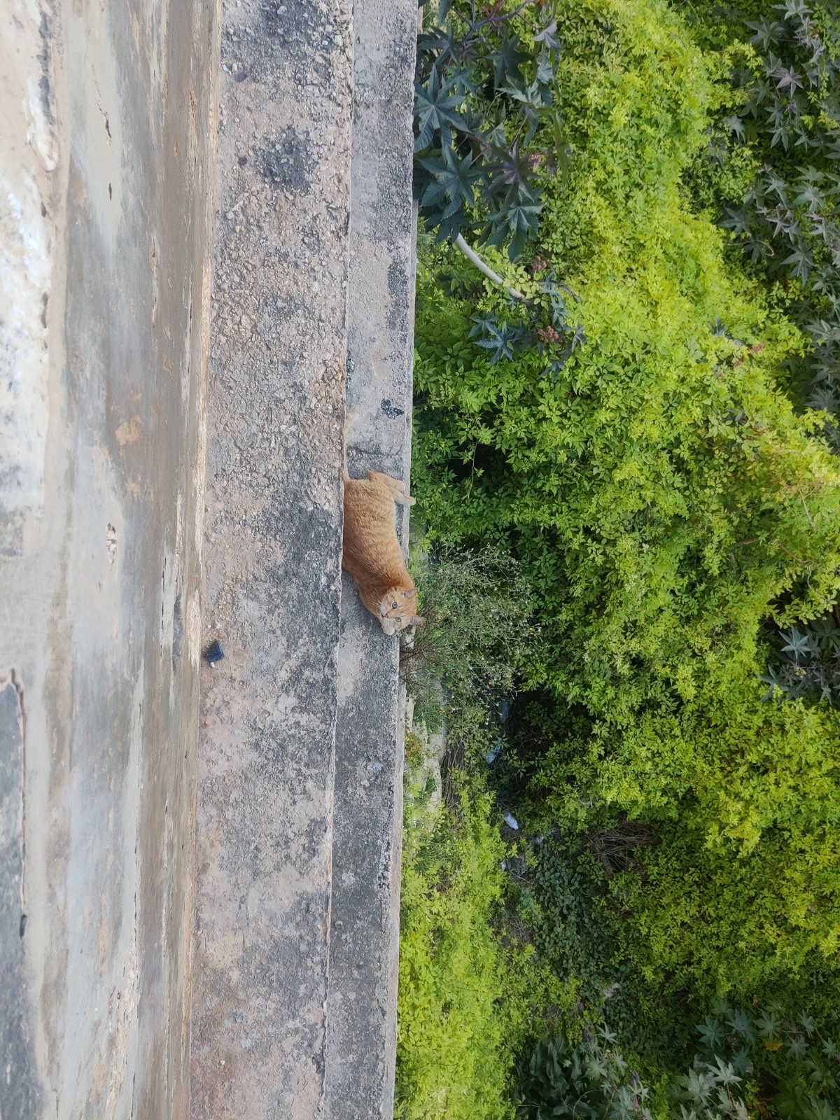 1a3c451e-a66f-474c-9f2c-cf6677f1bda6