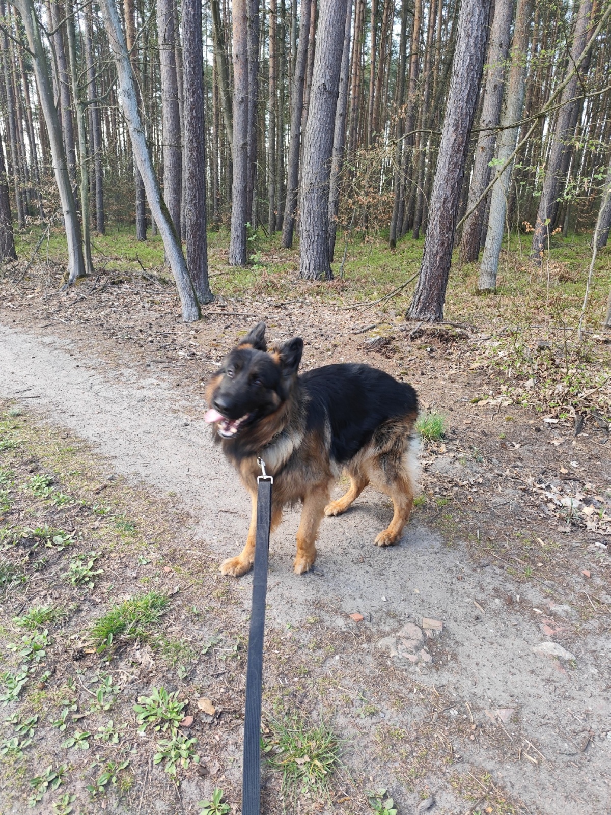 b1f2eab0-5993-404b-ab8c-15999383d89a