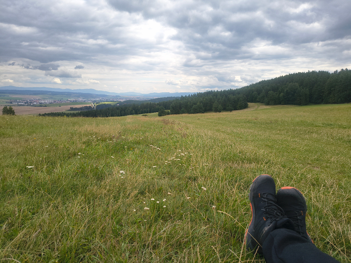 d525a5aa-a194-4e9d-b85c-bfbe92af69c6