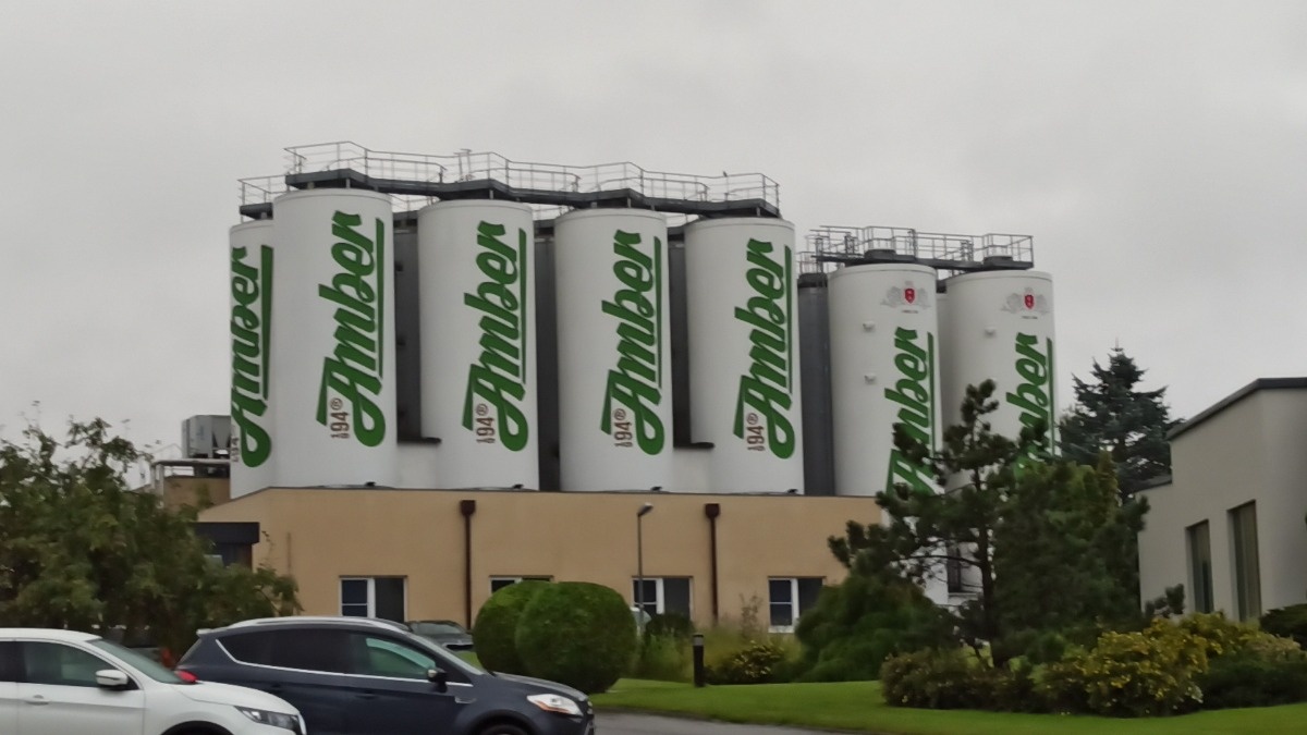 36cf19f1-491e-4aed-b1fd-459f58cb5c40