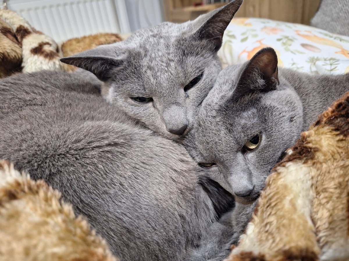 50c3c1a5-e277-48ff-98fe-d394e49d65c2