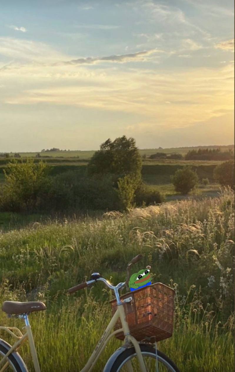 9bebe96a-c917-40c4-a427-58986d5fefa9