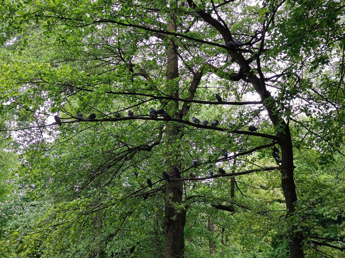 ebdf1967-b7e7-44a1-ab82-5548f2d5e955