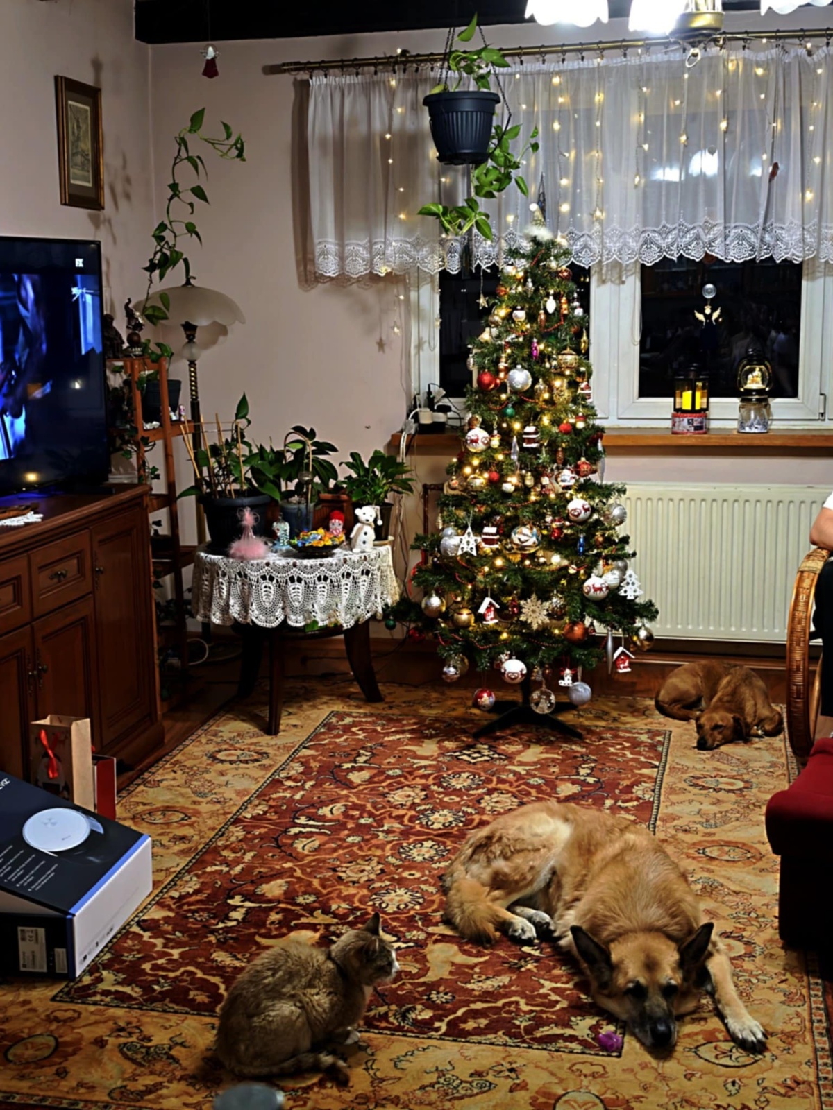 3beefb96-ac38-4600-aa22-5d3a83025ee3