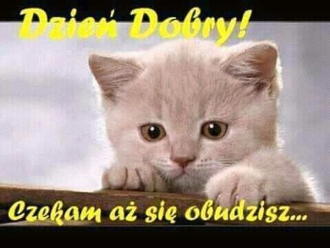 b8fc6339-7f12-4d54-bd1e-b2ebbc01d288