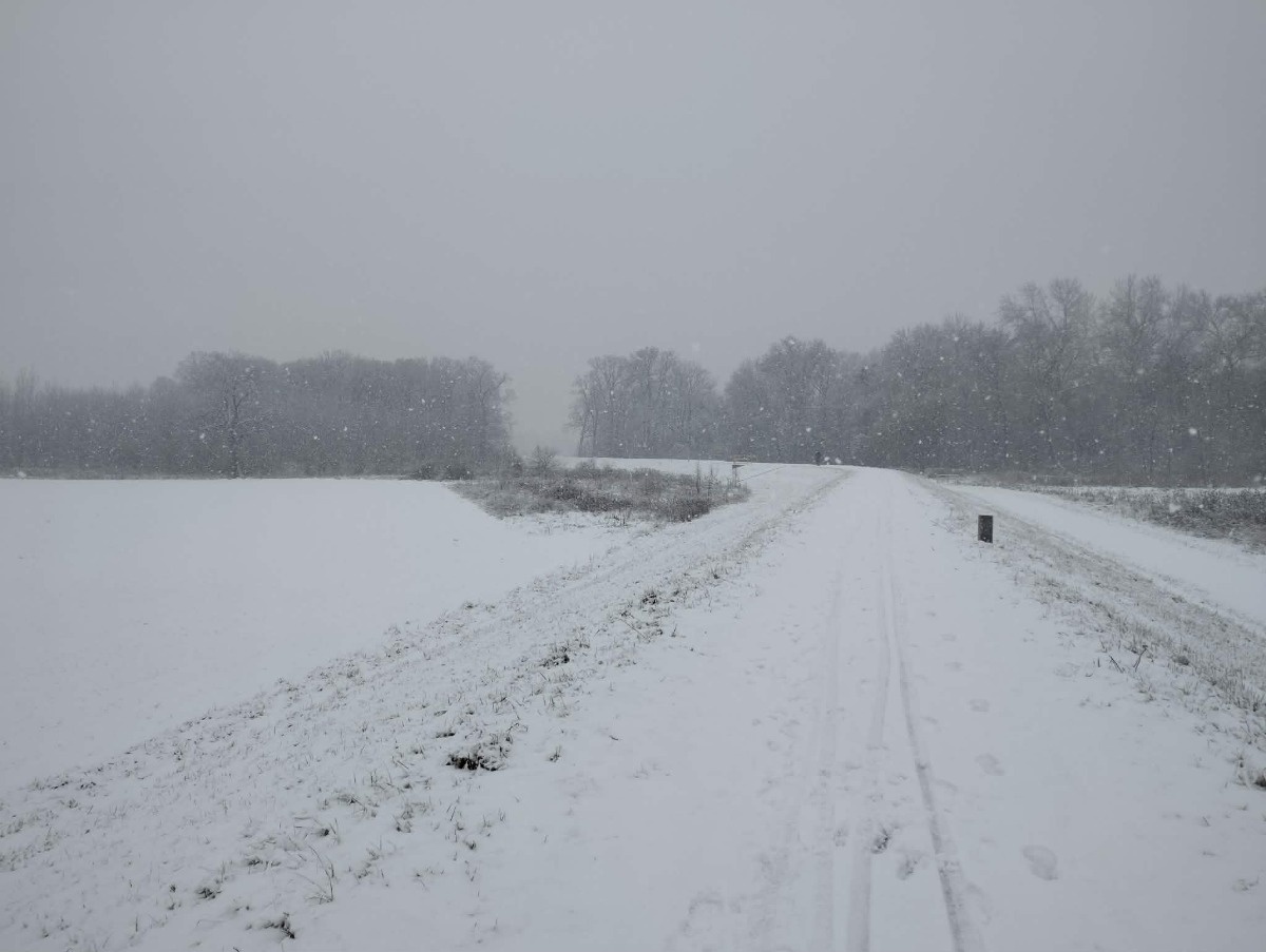 77c75545-12f2-494d-99c5-6ac0c45aa456